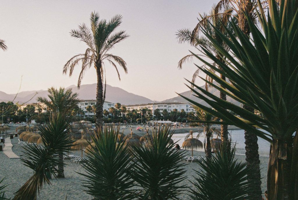 vacaciones-analogico-16