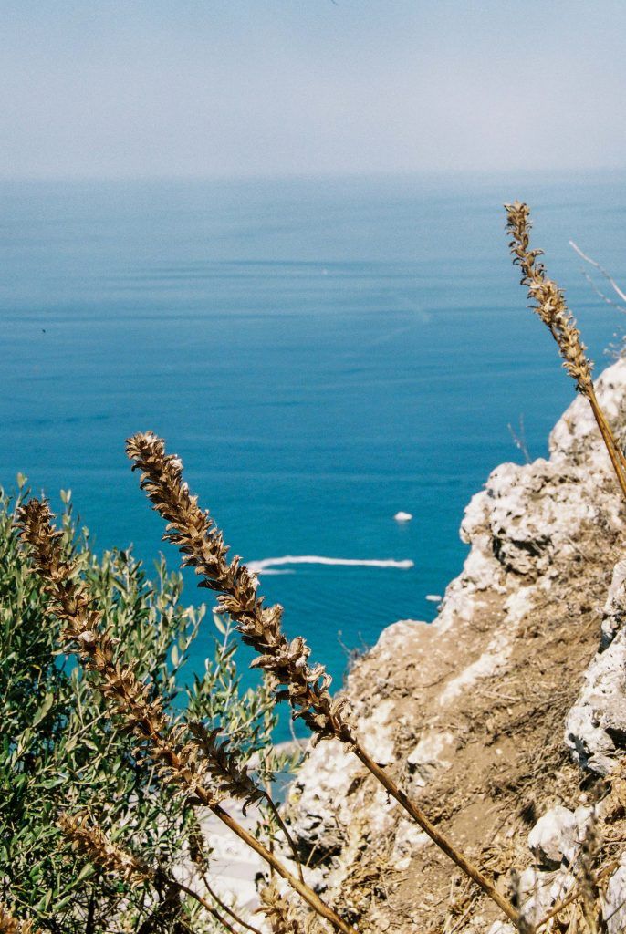 vacaciones-analogico-27